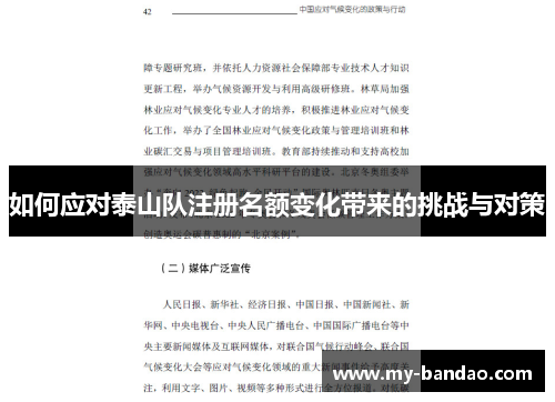 如何应对泰山队注册名额变化带来的挑战与对策