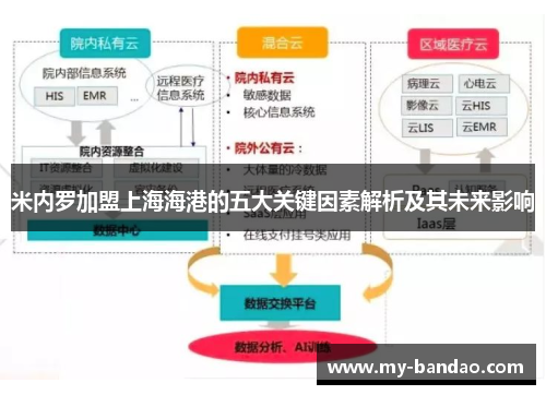 米内罗加盟上海海港的五大关键因素解析及其未来影响