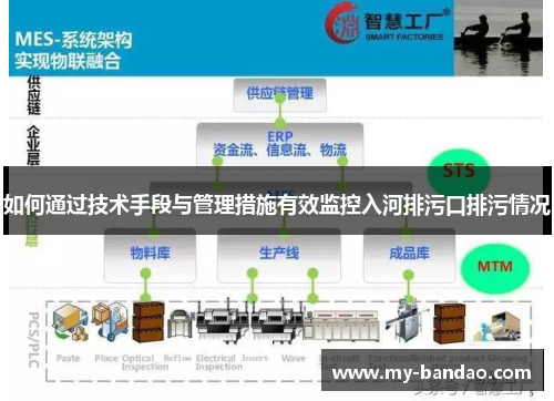 如何通过技术手段与管理措施有效监控入河排污口排污情况